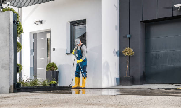 Best Fence Cleaning  in Pine Hills, FL